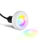 S.R.Smith Fled-C-TR 12V & 5W Treo LED Pool Light with Cord, 80', Red/Blue/Green