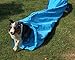 Callieway Dog Agility Sacktunnel Fun&Slip/Agilitysacktunnel mit 60cmØ für Agility Training/Welpentraining inklusive 2X Stützsandsäcke (Blau)