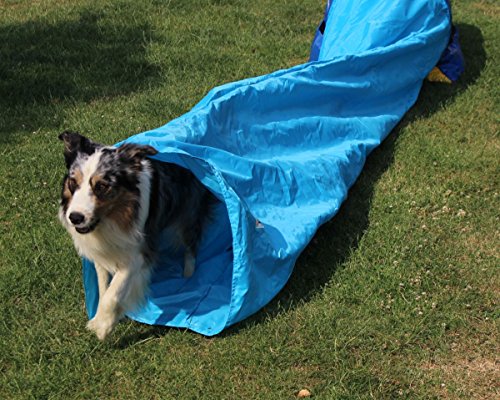 Callieway Dog Agility Sacktunnel Fun&Slip/Agilitysacktunnel mit 60cmØ für Agility Training/Welpentraining inklusive 2X Stützsandsäcke (Blau)