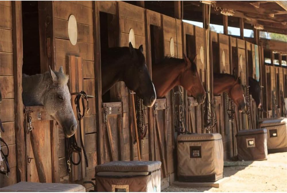 Laeacco Stable Backdrop 7x5ft Vinyl Photography Background - Stud-Farm Horses Scene - Farm Country Village Rustic Rural Theme - Cowboy Portrait Background Prop