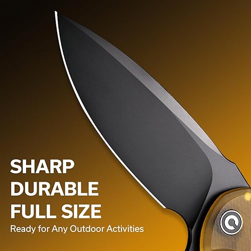 Vista 16 de CIVIVI Praxis Navaja de bolsillo plegable C803F Negro