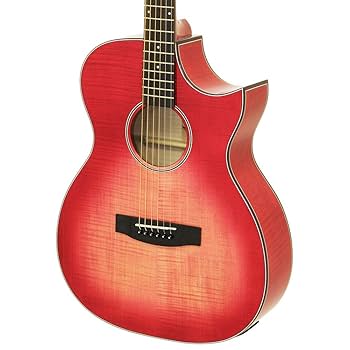 Amazon | ARIA AF-107CE FMPK エレアコギター アリア | スチール