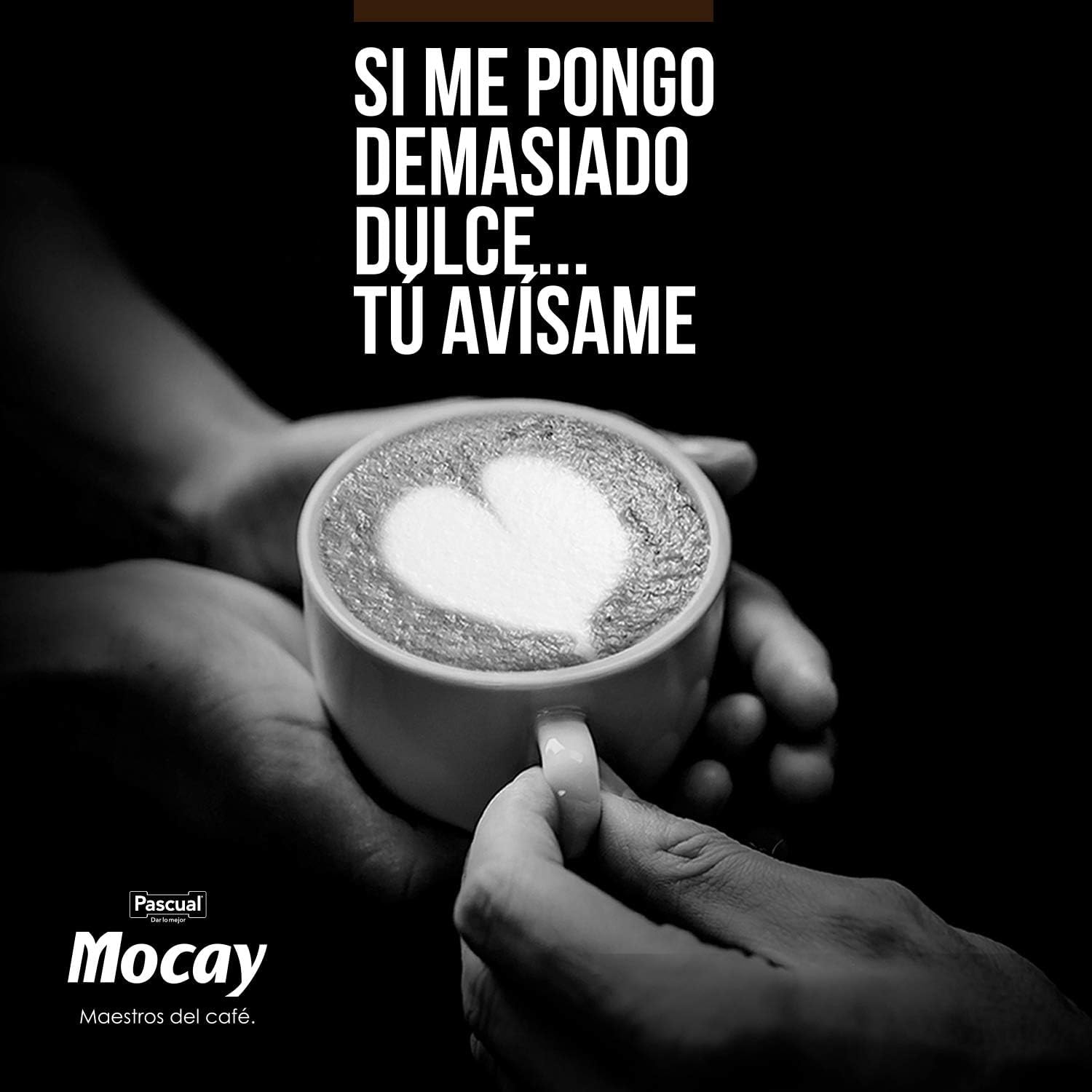 Pack 10 Mocay Café Frío Cappuccino 200 ml | Café Listo para Beber con Leche | Elaborado con Café 100% Arábica | Bebida Refrigerada Lista para Tomar | Entrega 24h