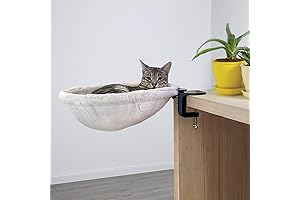 Cat Bedside Table: Relaxing Oasis for Your Feline Friend