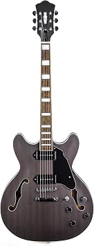 Professional Electric Guitar Hollow Body Electric Guitar Matte Finish P90 Pickups