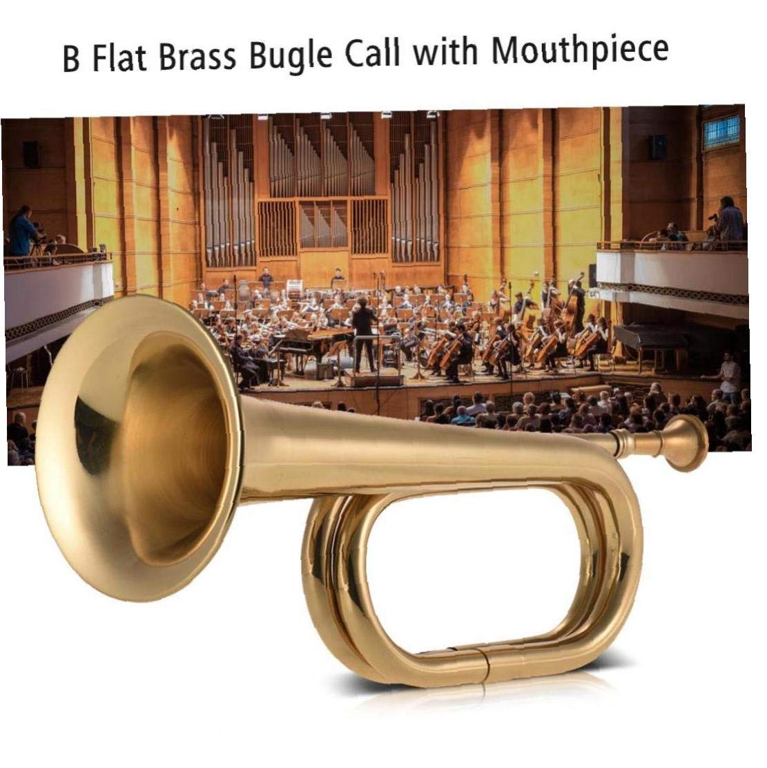 Zonster Strumento Scouting B Flat Bugle Call Tromba Cavalleria Militare di Cavalleria con boccaglio per School Band