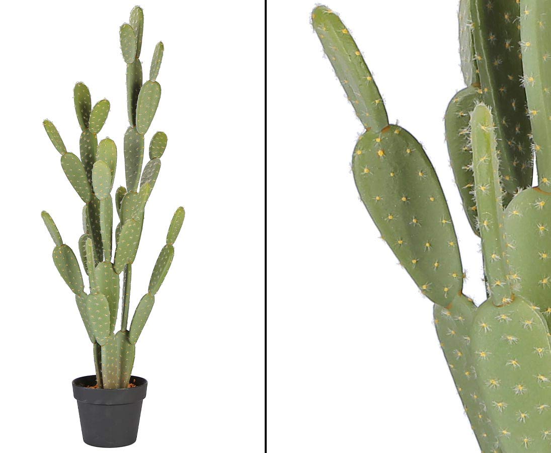 Amazon.de: kunstpflanzen-discount.com Bltterkaktus knstlich mit 36  Bltter 105cm hoch inklusive Topf- knstlicher Kaktus Dekokakteen  Wstendekoration