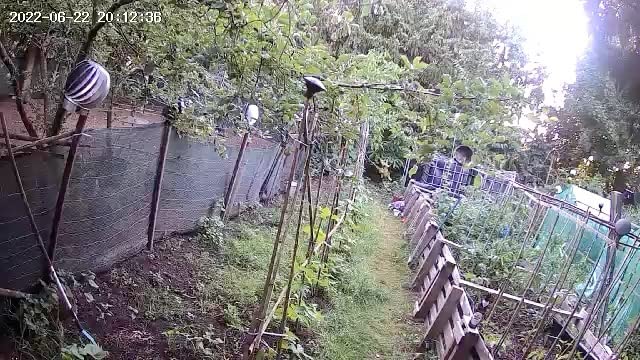 A clear purchase recommendation. Very good picture and reliable alarm