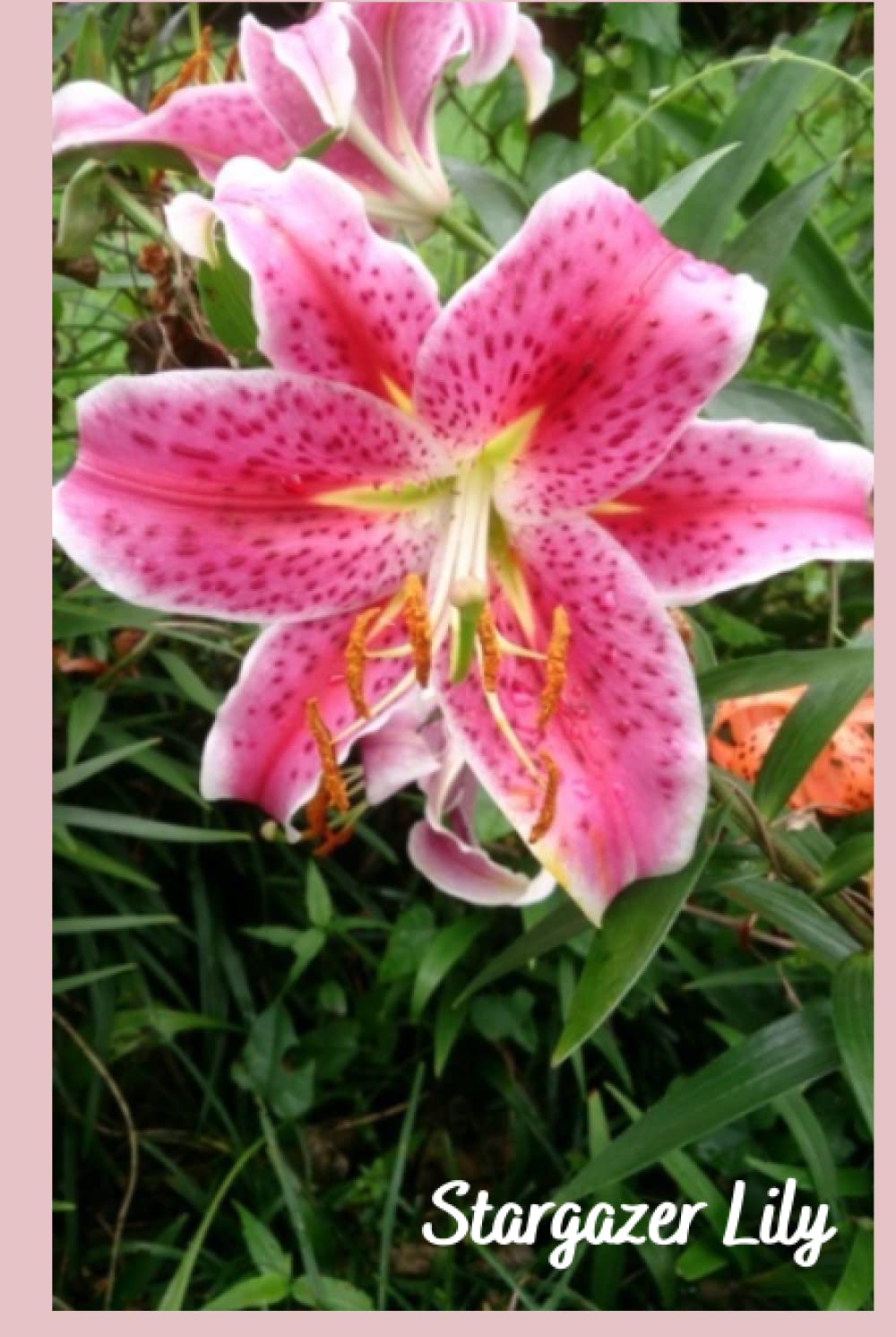 Stargazer Lily: Notebook