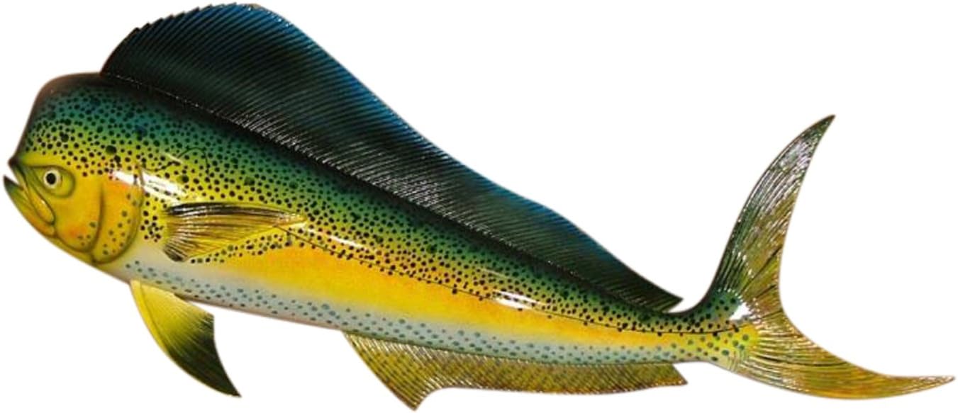 Charlotte InternationalReplica Mahi 28" Salt Water Fishing Wall Decor