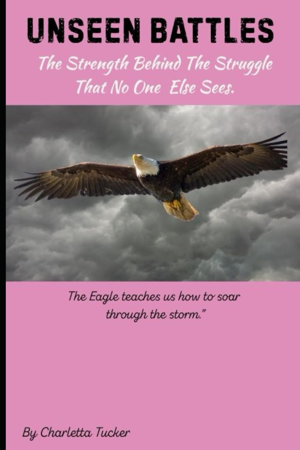 UNSEEN BATTLES: The Strength Behind the Struggle That No One Else Sees
