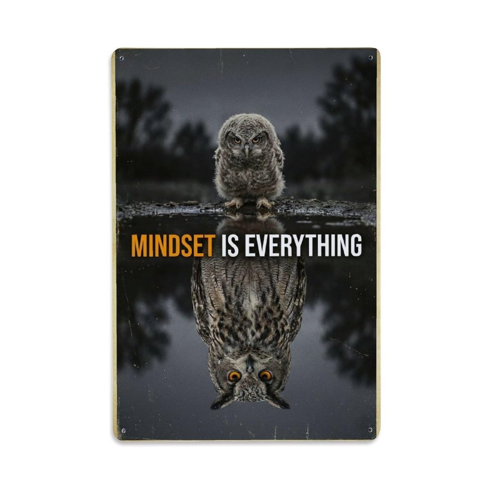 Olhnbad Style Owl Raptor Mindset Is Everything Motivational Quote Metal Tin Sign