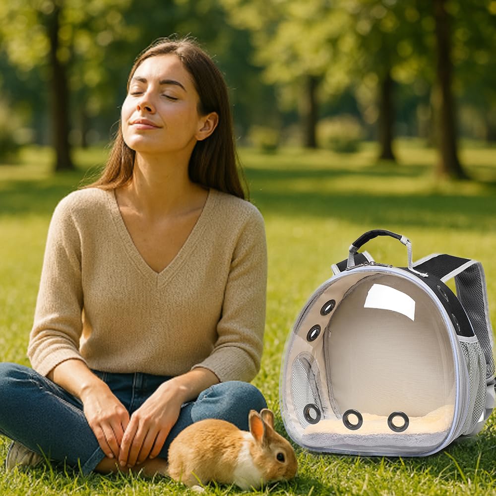 Sac à dos de transport respirant pour cochon d'Inde, lapin, dragon barbu, lézard, hamster, chaton - Parfait pour les visites vétérinaires et les aventures en plein air (noir)