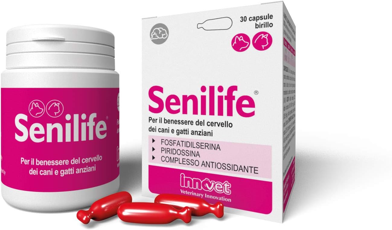 integratore alimentare per il cervello