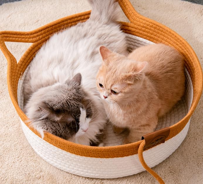 سرير للقطط من ال كيو زد اتش بي دي دبليو زد، عش منسوج من الراتان للحيوانات الاليفة، لوح خدش للقطط والحيوانات الاليفة، سلال عش للنوم (ابيض + كاكي، M)