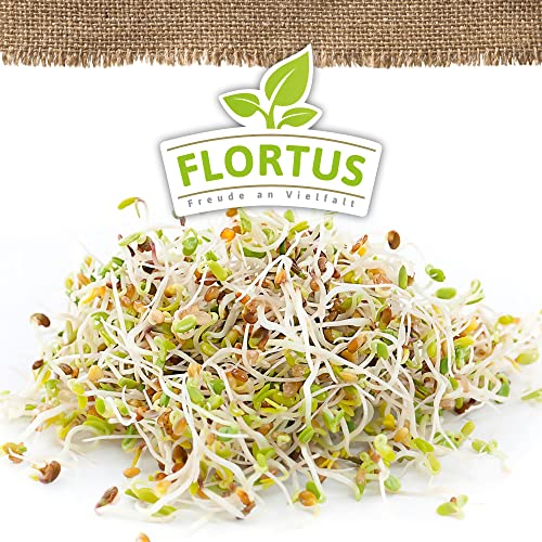 Alfalfasprossen von FLORTUS BIO – 200 g Keimsaat für gesunde Ernährung