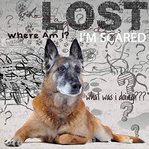 Image of The Blissful Dog Belgian Malinois Age Well Spray Aromatherapy