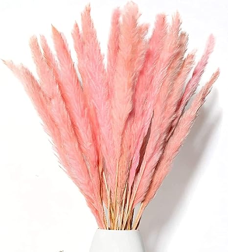 Amazon 乾燥レブルブツ パンパスグラスドライデコ ドライフラワーデコナチュラル 造花ボヘオデコ寝室リビングルームバルコニーバスルーム室テーブル装飾結婚式 Color Pink 造花 オンライン通販