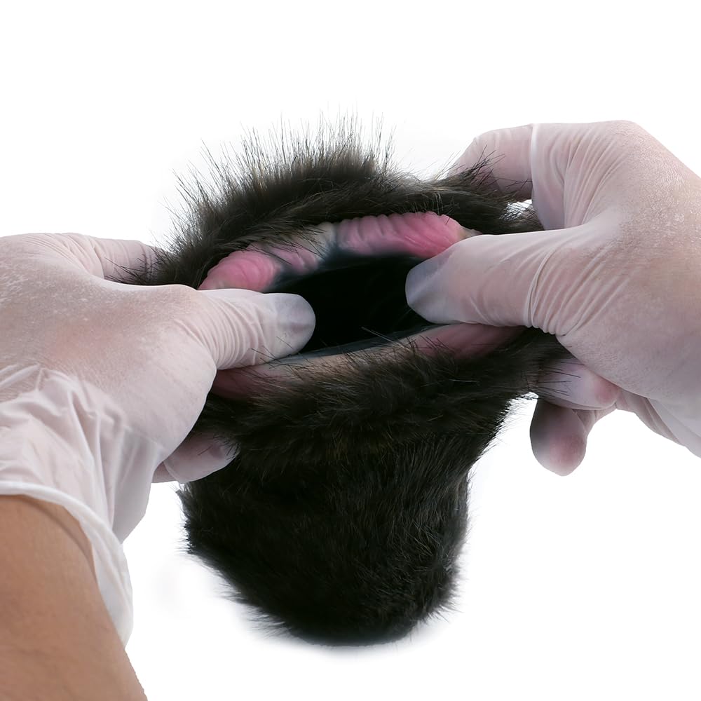 Amazon.com: Jesakmie 6.3in Black Cat Male Masterburters, Pocket Pussy  Sucking Toy Silicone Plush Adult Masterbaters with Fur Sex Toys, Realistic  3D Vagina Anal Textured Male Masturbater Cup : Health & Household