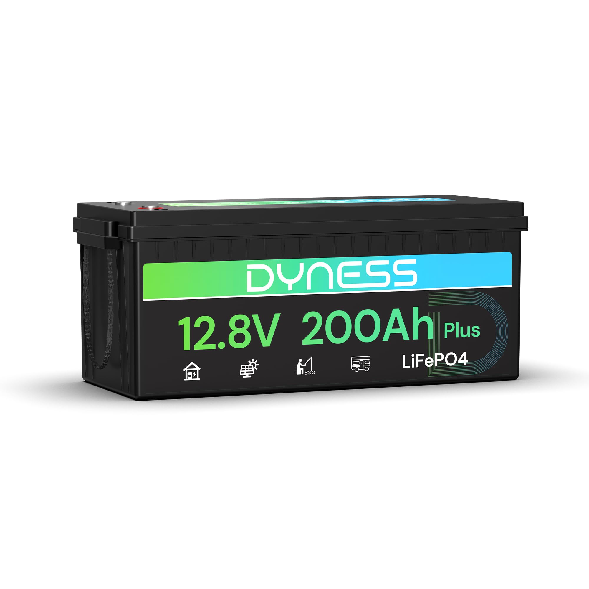 Dyness LiFePO4 Batería de Litio 12V 200Ah con BMS de 200A, 2560Wh para Ciclo Profundo en Marina/RV, Ideal para Solar, Overland/Furgonetas y Fuera de la Red