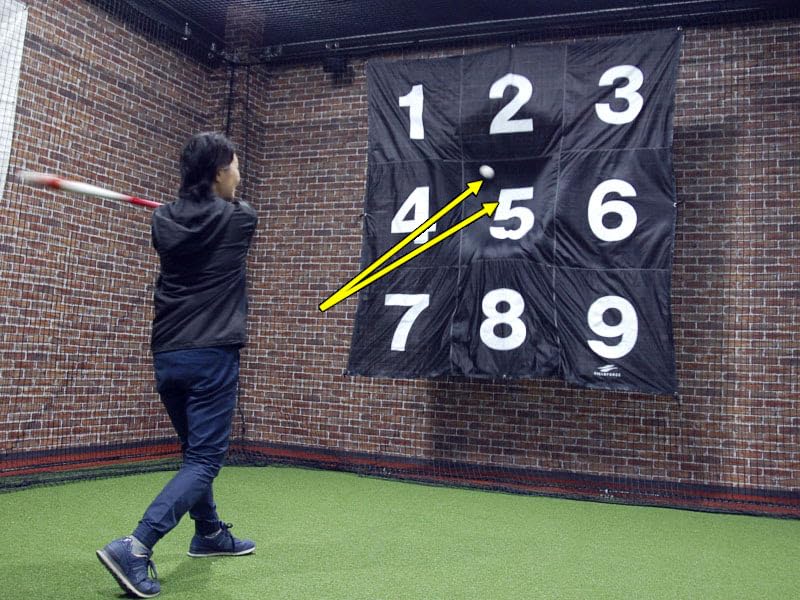 Amazon | 野球 バットコントロール 向上シート9 FBKS-9