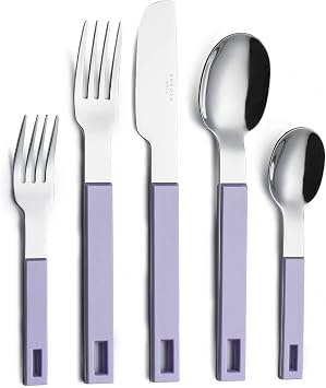 ANNOVA Silverware Set 20 Pieces Stainless Steel Color Block Handle Modern Style Flatware - 4xDinner Knife;4xDinner Fork;4xSalad Fork;4xDinner Spoon;4xDessert SpoonLilac, Purple