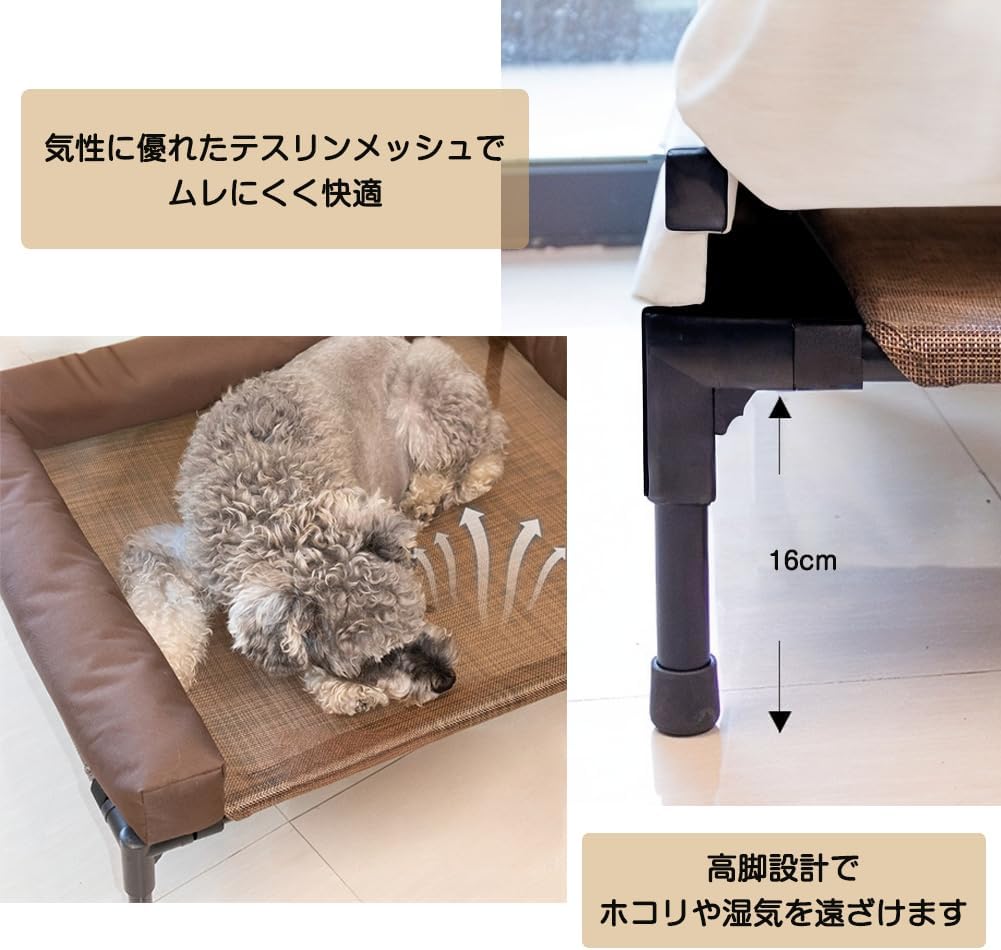 エニシーグローCL 10パック スパチュラ付き GLOW PACK CL+10個入り