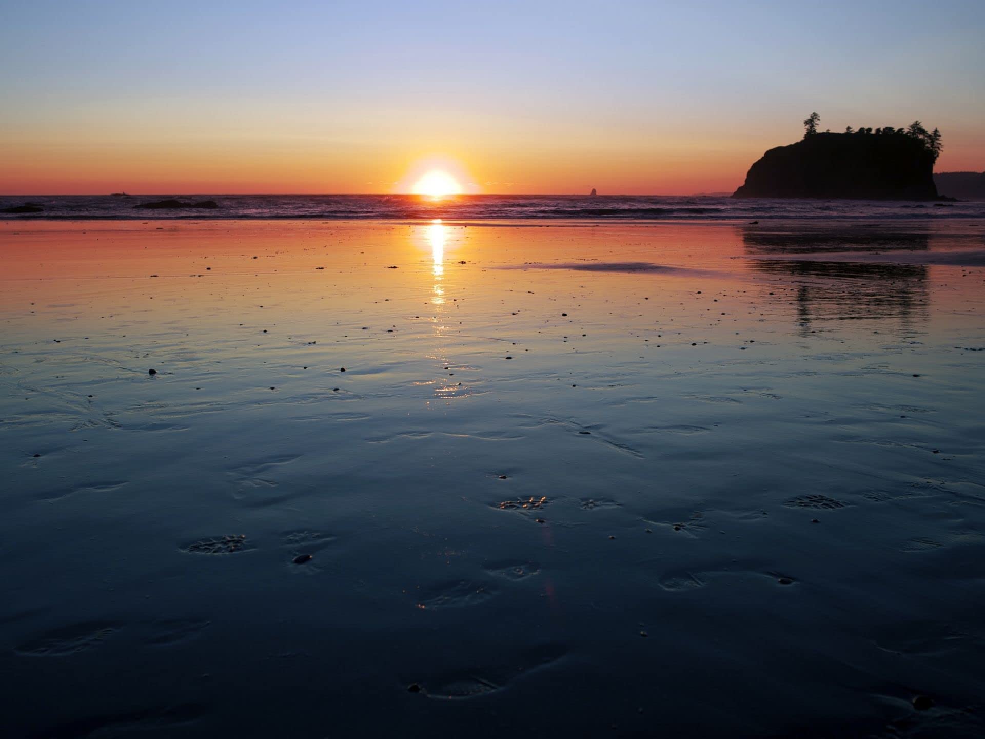 Kori Linae Carothers