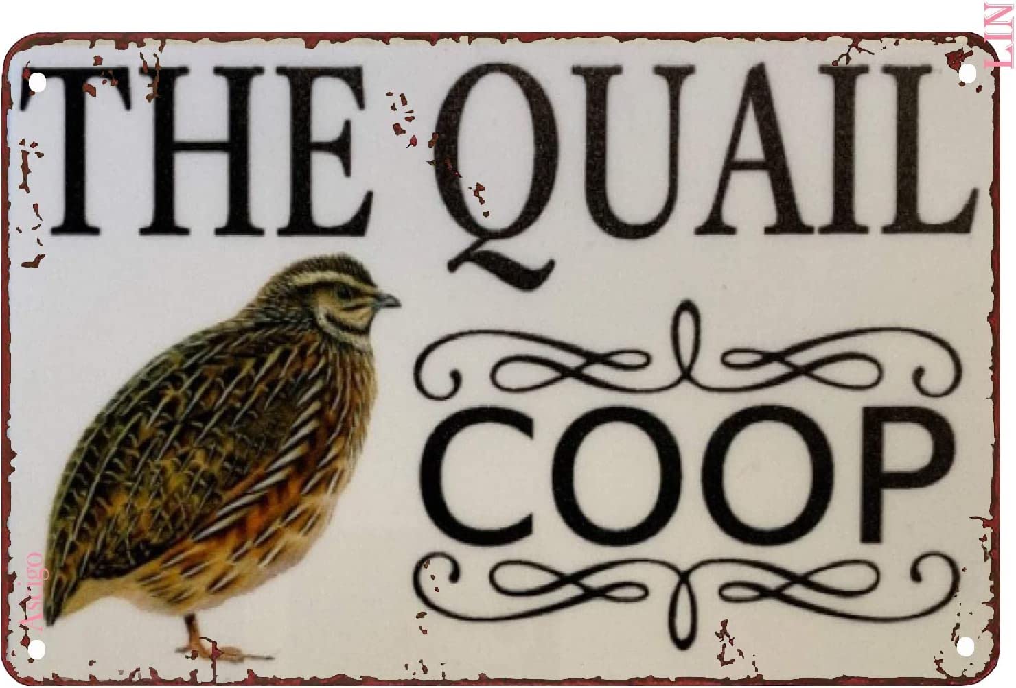 Pibonto Women's Wall Art Vintage Sign Funny Metal Bar Signs Quail Coop White Tin Unique Home Decorations Cute Wall Decor Poster Gift For 8X5.5 Inch - Home Decor