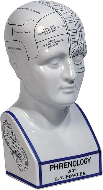 Authentic Models LN Fowler Large 12 inch Porcelain Phrenology Head
