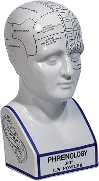 Authentic Models LN Fowler Large 12 inch Porcelain Phrenology Head