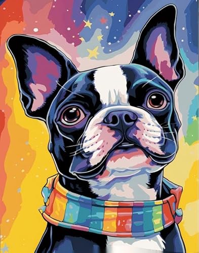 WANGWANGMIAO Paint by Numbers Kits for Adults,Colorful Boston Terriers Painting by Number Kits On Canvas,DIY Color Acrylic Oil Paints Home Wall Decor 16x20inch/40×50CM，with Frame