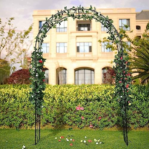 Arche de jardin en métal robuste et tonnelle pour plantes grimpantes