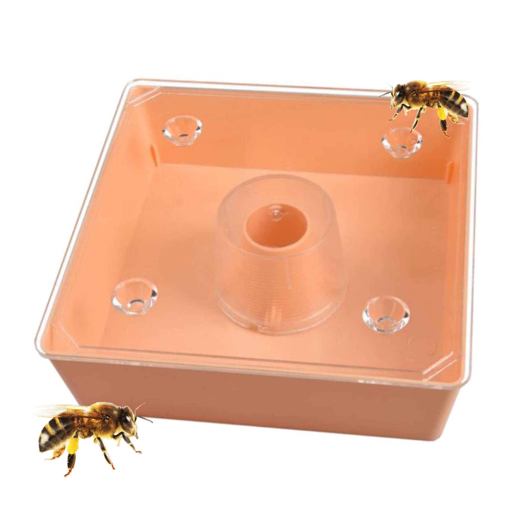 Eaarliyam Bee Feeder, 2L Bee Hive Top Entrance Feeder, 2.17x7.09x7.09 inch Bee Beekeeping Cage Tool, Square Bee Hive Top Water Feeder for Bee Equipment