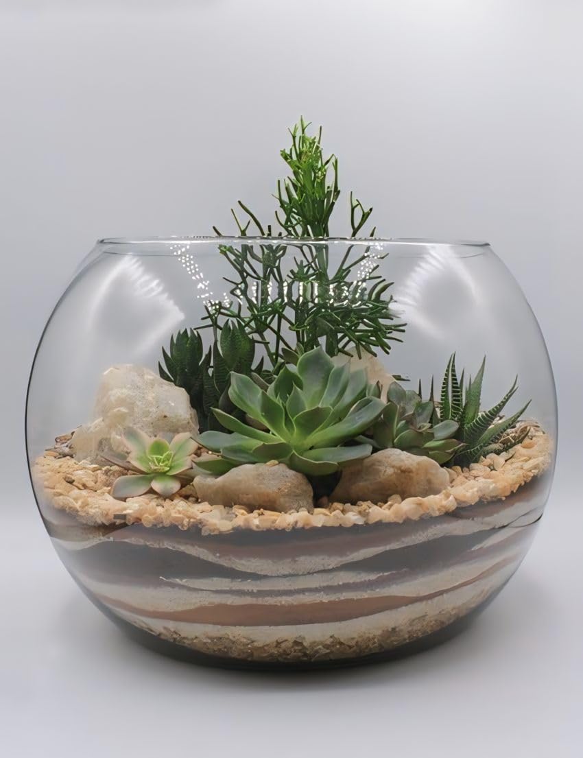 Shobhana Enterprises Glass Fish Bowl Aquarium, Decorative Bowl Home Aquarium for Fish (Pot 10 inch Large) (Transparent, Large) (B0DBZT991N) Amazon Price History, Amazon Price Tracker