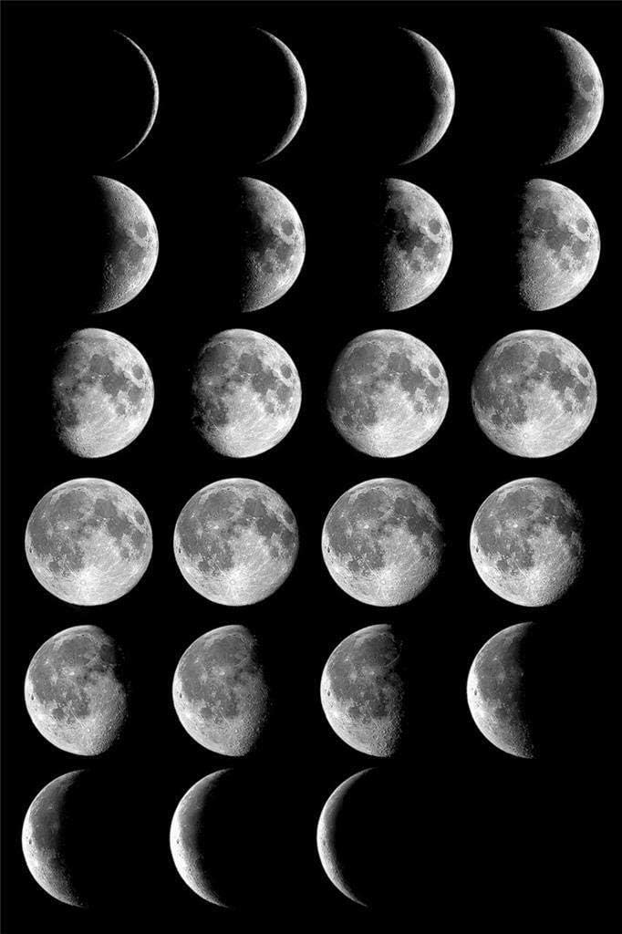 Home Comforts Moon Phases Full Half Crescent Space Stars Cool 1263-20 Inch by 30 Inch Laminated Poster With Bright Colors And Vivid Imagery-Fits Perfectly In Many Attractive Frames