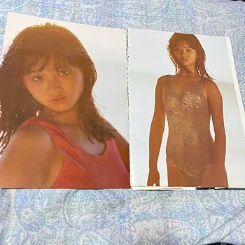 Amazon.co.jp: 本田美奈子18歳の超貴重なセーラー服切り抜き超