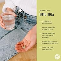 Vista 2 de Banyan Botanicals Brahmi/Gotu Kola Tablets - USDA Organic - 90 tabletas - Centella asiática - Apoya la concentración, el estado de alerta y un