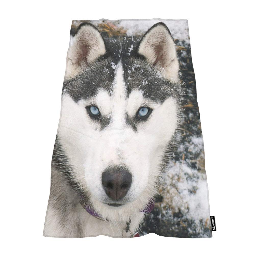 how-long-does-a-siberian-husky-bleed-while-in-heat