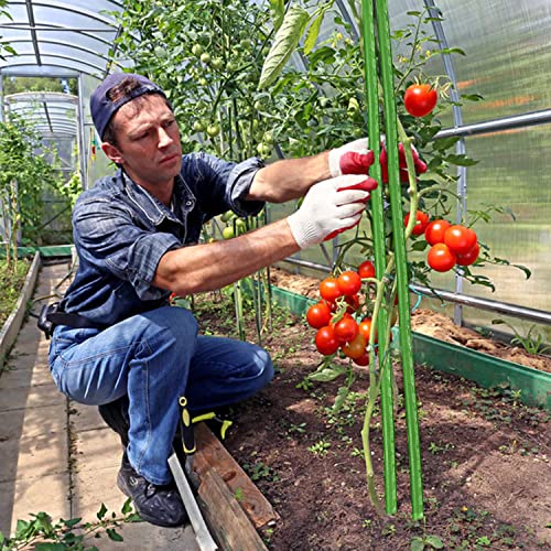 Botindo Garden Stakes 48 Inches Sturdy Green Plant Sticks 25 Pack, Metal Tomato Stakes Support, Yard Plant Support Cage For Potted Plants, Tomatoes, Trees, Cucumber, Fences, Beans (48 Inch) #TOP5