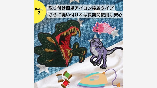 Amazon.co.jp: 恐竜 ワッペン アイロンワッペンアップリケ 刺繍 (C