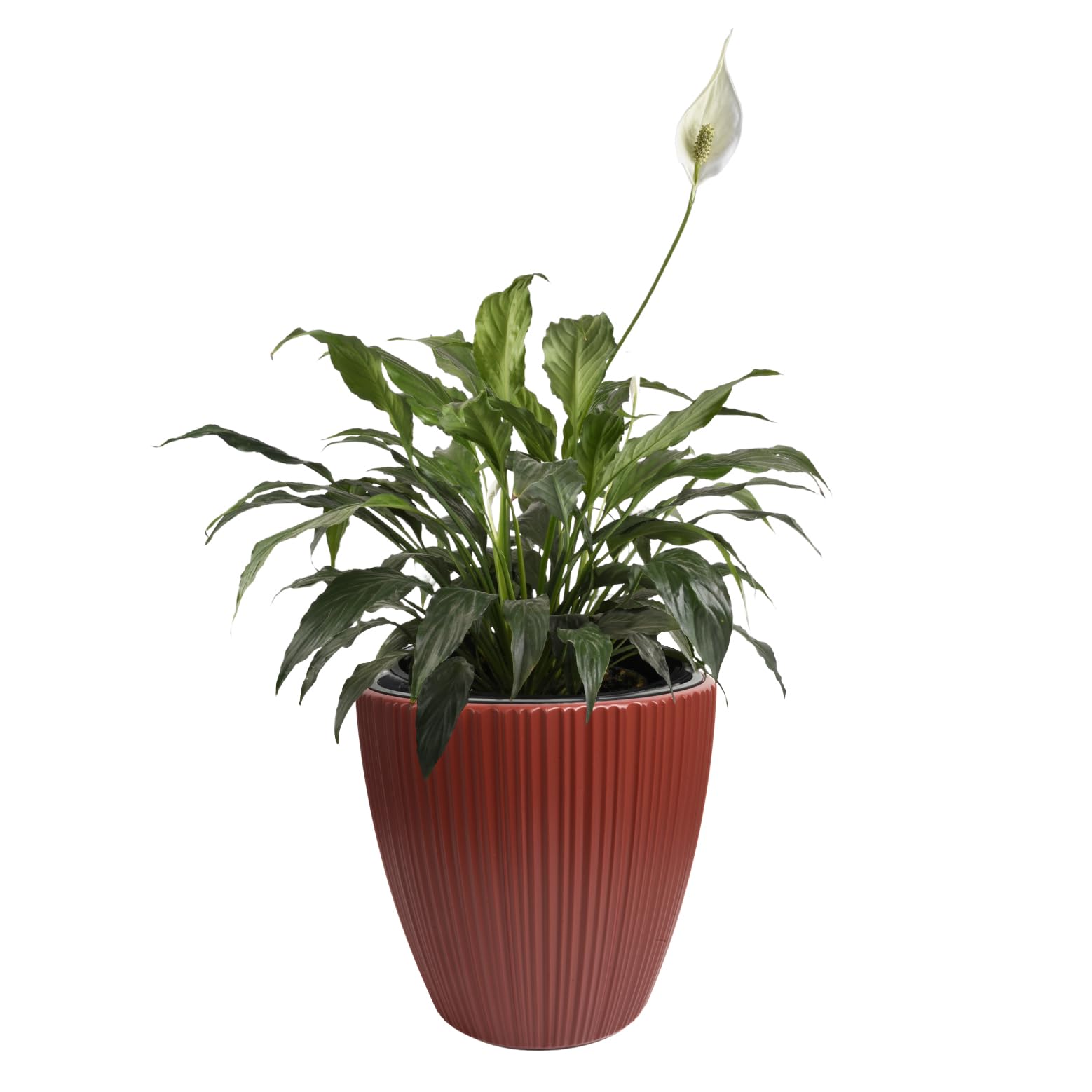 B2C Flowerpot Ridged Planter with removable insert Indoor Outdoor Modern Vertical grooves textured for home office patio garden decoration (Retro Red, W40cm x H40cm)