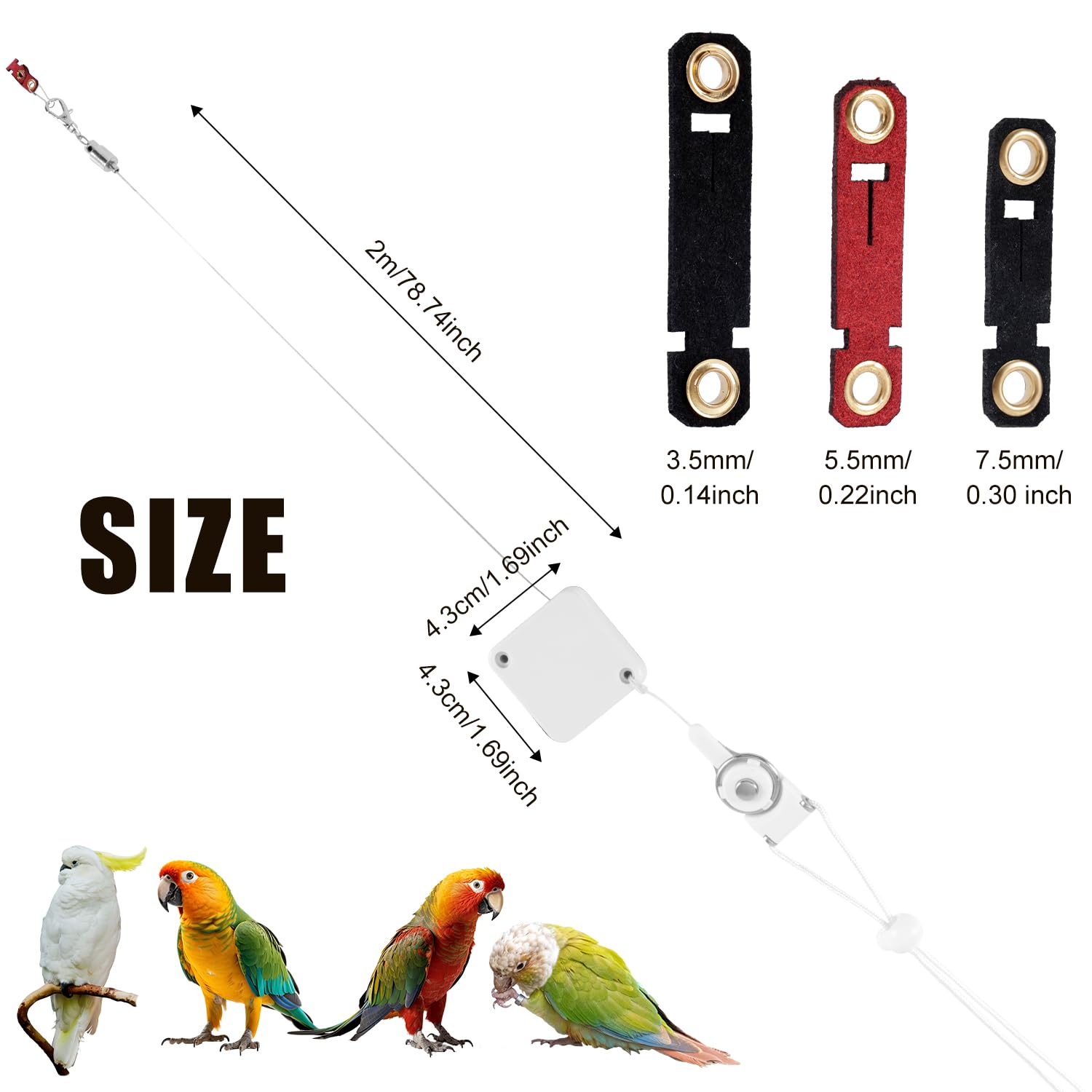 Retractable Bird Leash - Image 2
