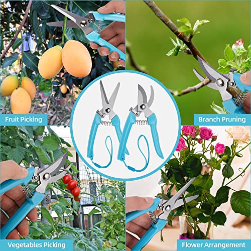 Pruning Shears,3Pcs Garden Scissors,Stainless Steel Sharp Blade Gardening Trimming Floral Shears Scissors Pruners For Cutting Flowers,Trimming Plants,Bonsai,Picking Fruits With Storage Bag,Wipe Cloth #TOP6