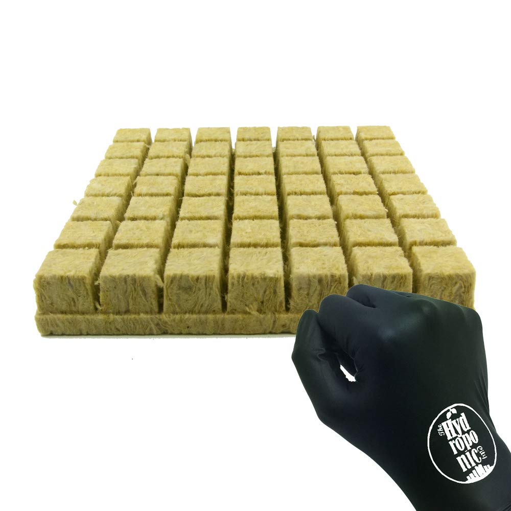 A OK Rockwool Stonewool Hydroponic Grow Media Starter Cubes Plugs + THCity Gloves - 1.5" x 1.5" - 49 Piece