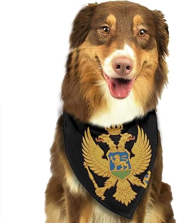 all pet supplies republic rd