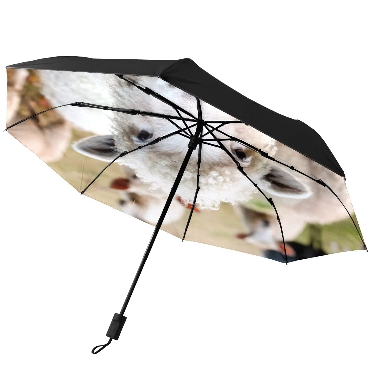 Gispog One Color Automatic Folding Umbrella, Sheep Animal Waterproof Compact Sun And Rain Travel Umbrellas