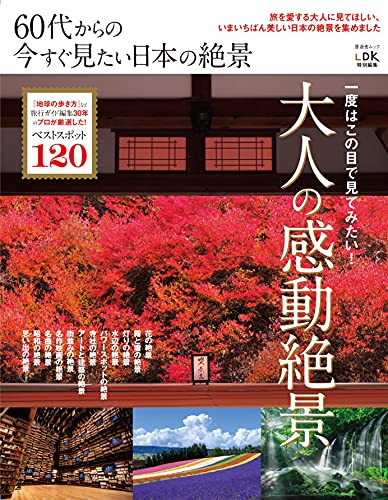 60代からの今すぐ見たい日本の絶景 (晋遊舎ムック)