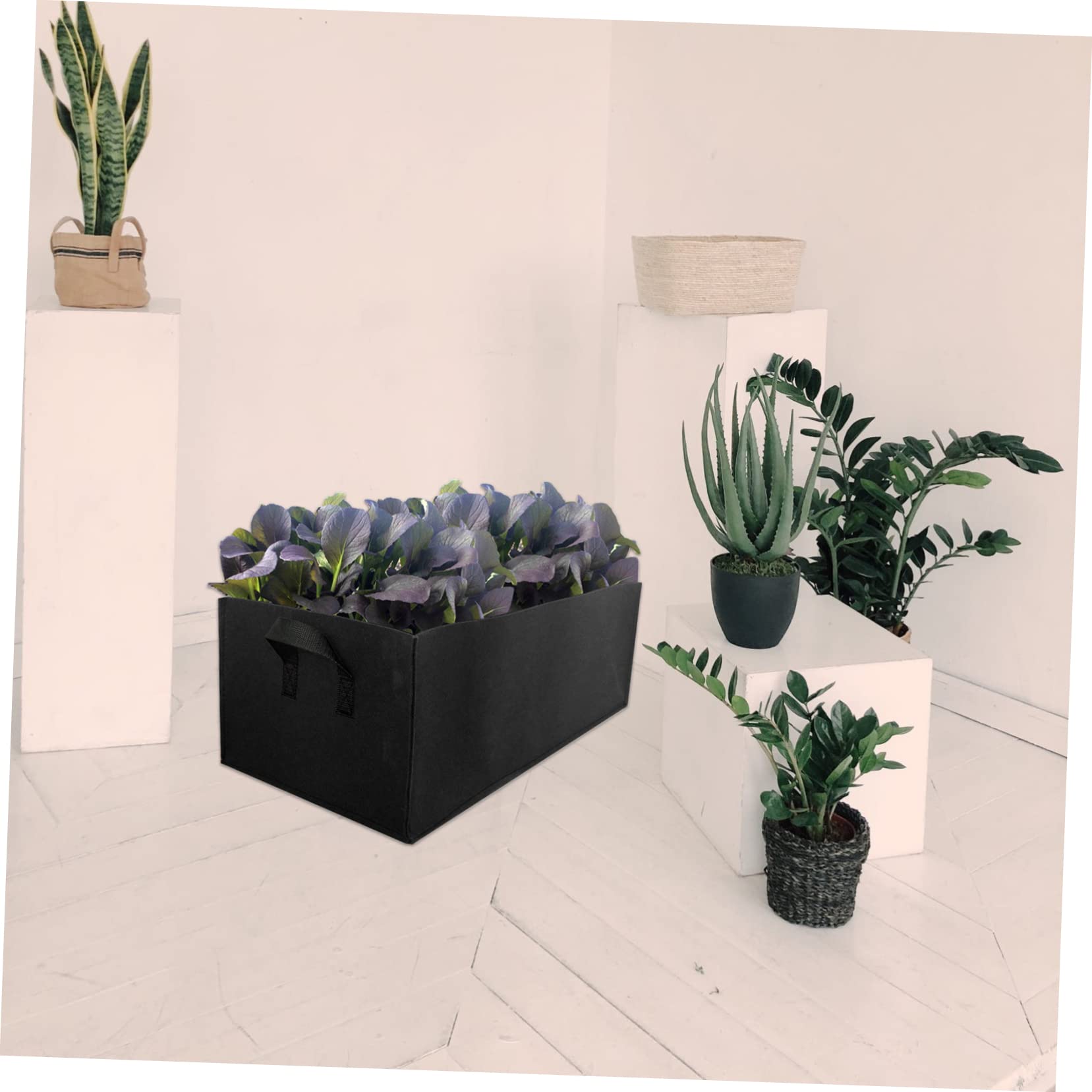 UKCOCO 6 Stück Stofftöpfe Anlage wachsender Beutel Taschen wachsen groß Pflanztaschen gartenwerkzeuge Garten wergzeug pflanzfass gemüse Wachstumssack Pflanzenwachstumsbeutel Black