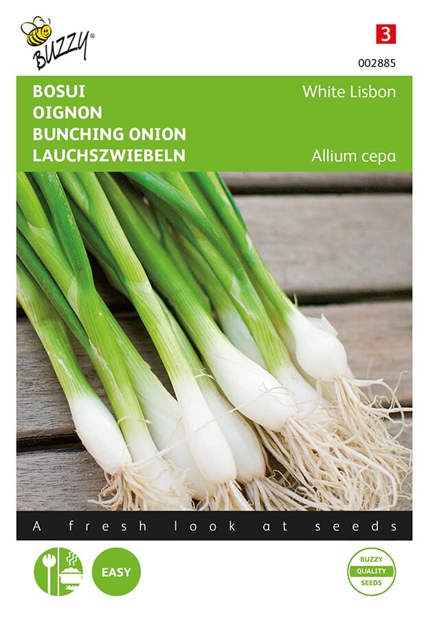 Buzzy Seeds 002885 Oignon de printemps White Lisbon (graines d'oignon)
